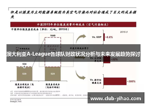 澳大利亚A-League各球队财政状况分析与未来发展趋势探讨