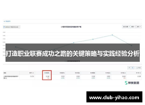 打造职业联赛成功之路的关键策略与实践经验分析