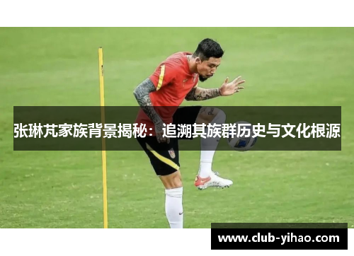 张琳芃家族背景揭秘：追溯其族群历史与文化根源