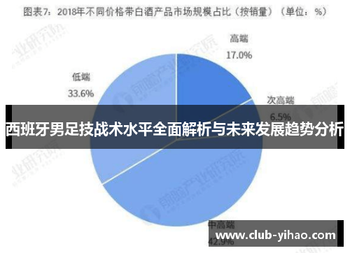西班牙男足技战术水平全面解析与未来发展趋势分析