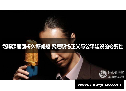 赵鹏深度剖析欠薪问题 聚焦职场正义与公平建设的必要性